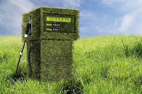 От биотоплива